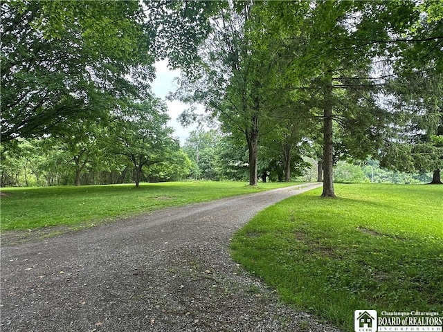 10250 Rte 39, Sardinia, NY 14141 - photo 22