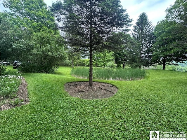10250 Rte 39, Sardinia, NY 14141 - photo 23