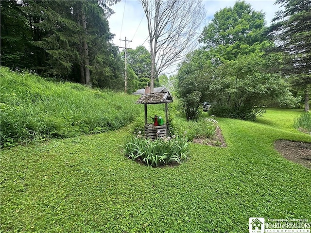 10250 Rte 39, Sardinia, NY 14141 - photo 24