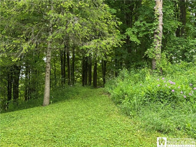 10250 Rte 39, Sardinia, NY 14141 - photo 26