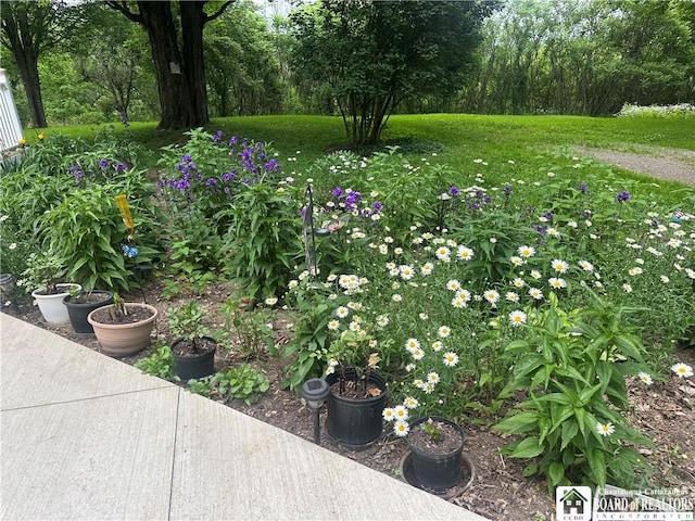 10250 Rte 39, Sardinia, NY 14141 - photo 33