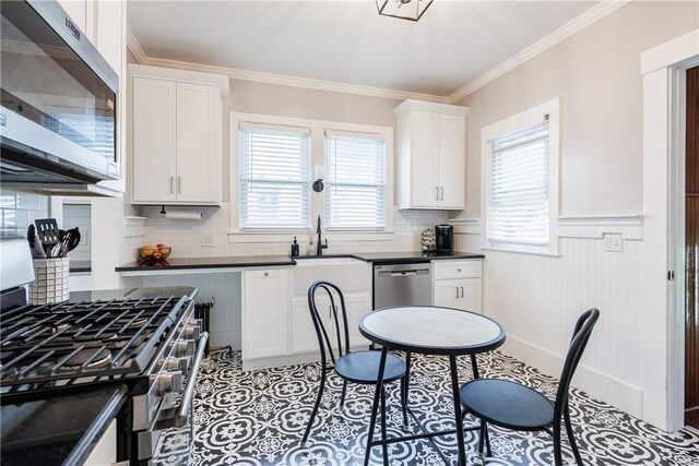 905 W Center St, Ridgeway, NY 14103 - kitchen featuring stainless steel appliances, ornamental molding, dark countertops, wainscoting, and white cabinets