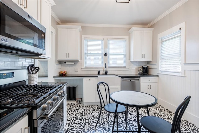 905 W Center St, Ridgeway, NY 14103 - kitchen featuring appliances with stainless steel finishes, radiator, dark countertops, ornamental molding, and wainscoting