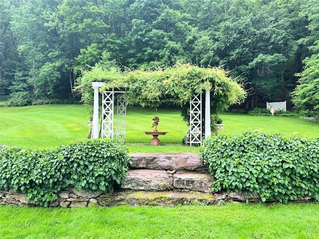 6806 County Highway 14, Meredith, NY 13846 - view of grassy yard