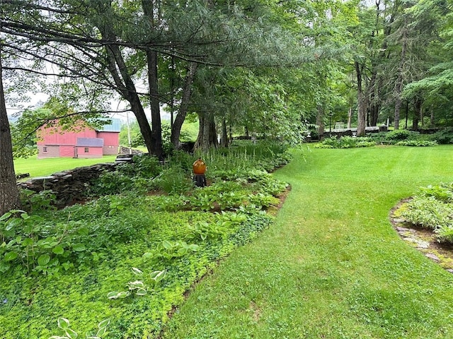 6806 County Highway 14, Meredith, NY 13846 - view of green lawn