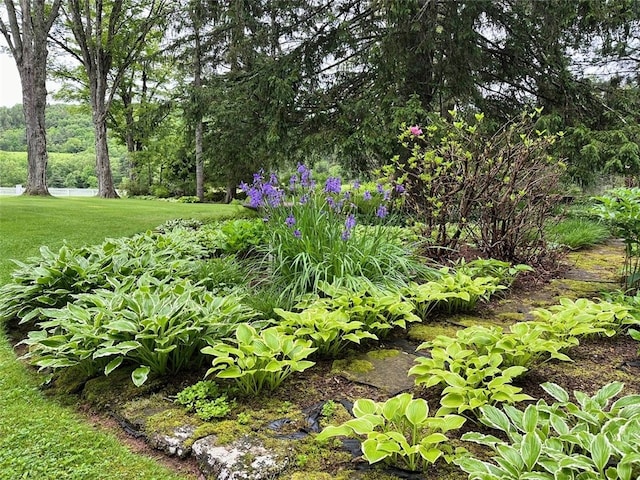 6806 County Highway 14, Meredith, NY 13846 - view of grassy yard