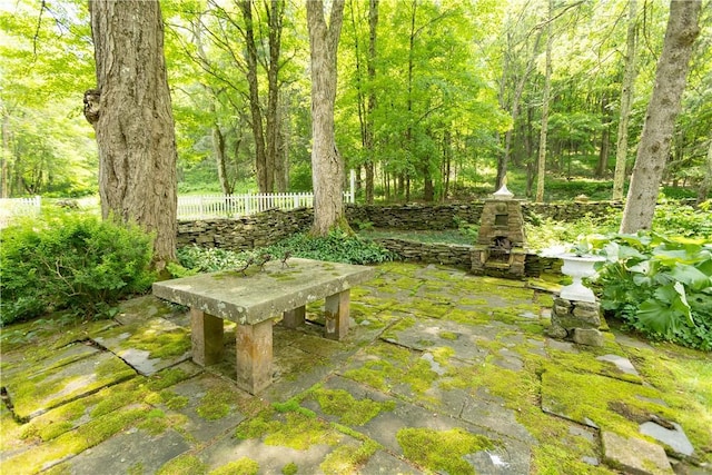 6806 County Highway 14, Meredith, NY 13846 - view of yard with an outdoor stone fireplace and a patio