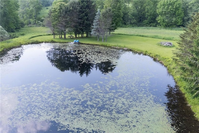 6806 County Highway 14, Meredith, NY 13846 - water view