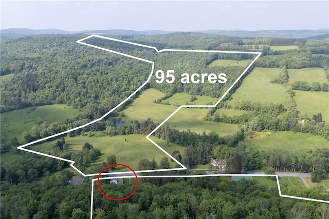 6806 County Highway 14, Meredith, NY 13846 - aerial view of property's location with a forest and property boundaries highlighted
