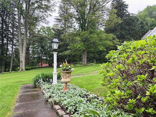 6806 County Highway 14, Meredith, NY 13846 - view of green lawn