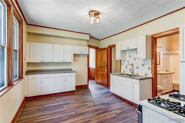 373 Urban St, Buffalo, NY 14211 - kitchen with dark wood finished floors, a textured ceiling, plenty of natural light, gas range gas stove, and ornamental molding