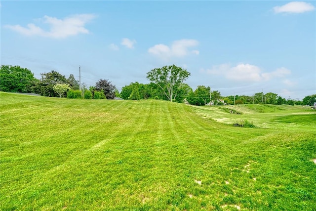 1391 Creeks Edge Dr, Webster, NY 14580 - view of grassy yard