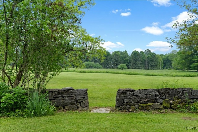 9999 Pierce Rd N, Trenton, NY 13354 - view of green lawn