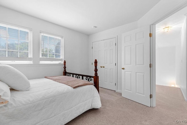 133 Raspberry Ln, Camillus, NY 13031 - bedroom with light carpet and a closet