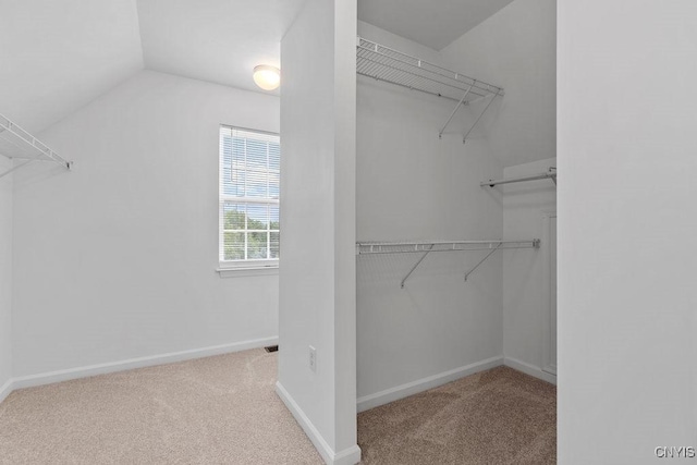 133 Raspberry Ln, Camillus, NY 13031 - walk in closet with carpet and lofted ceiling
