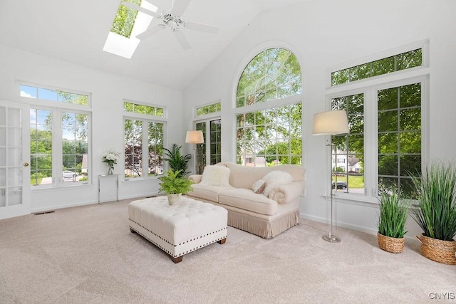 133 Raspberry Ln, Camillus, NY 13031 - sunroom / solarium with a skylight, lofted ceiling, and french doors