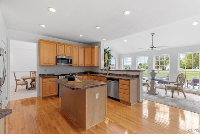 133 Raspberry Ln, Camillus, NY 13031 - kitchen with stainless steel appliances, light wood finished floors, a center island, recessed lighting, and a peninsula