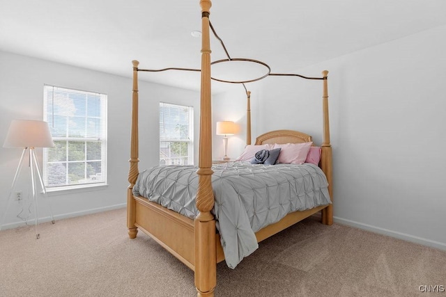 133 Raspberry Ln, Camillus, NY 13031 - bedroom featuring light carpet