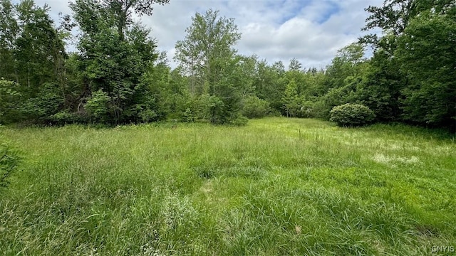 433 Pendergast Rd Unit 435, Granby, NY 13135 - view of tree filled area