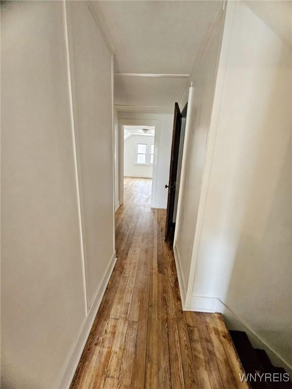 269 Westminster Ave, Buffalo, NY 14215 - corridor featuring wood-type flooring