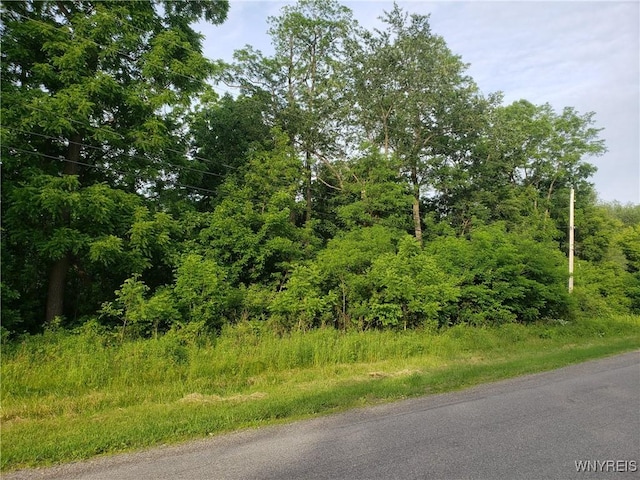3835 Chase Rd, Hartland, NY 14105
