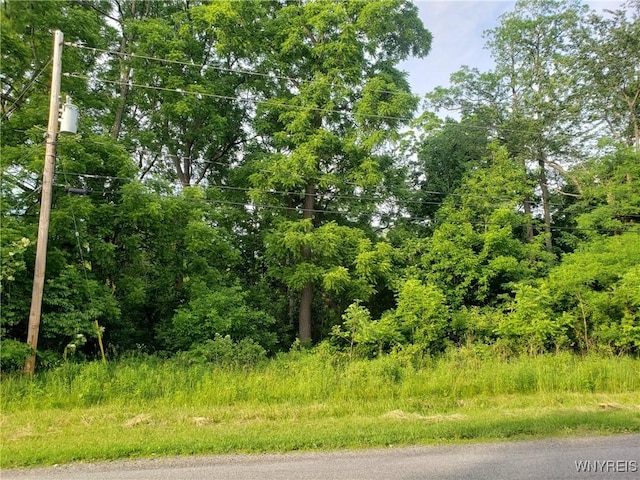 3835 Chase Rd, Hartland, NY 14105