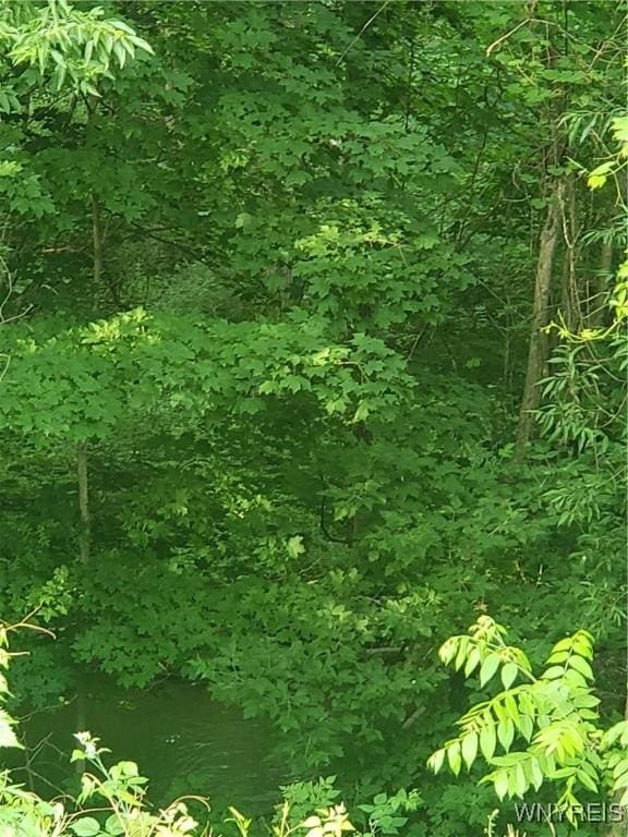 3835 Chase Rd, Hartland, NY 14105