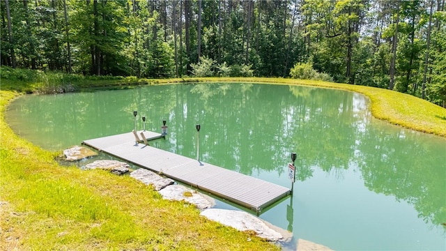 6684 Bishop Rd, Conesus, NY 14435 - dock featuring a water view