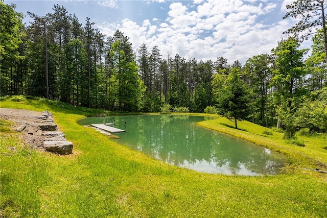 6684 Bishop Rd, Conesus, NY 14435 - water view with a heavily wooded area