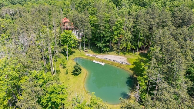 6684 Bishop Rd, Conesus, NY 14435 - aerial view of a large body of water and a heavily wooded area