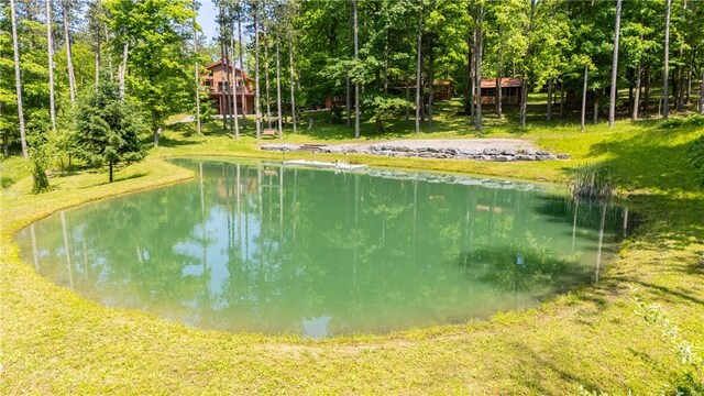 6684 Bishop Rd, Conesus, NY 14435 - water view