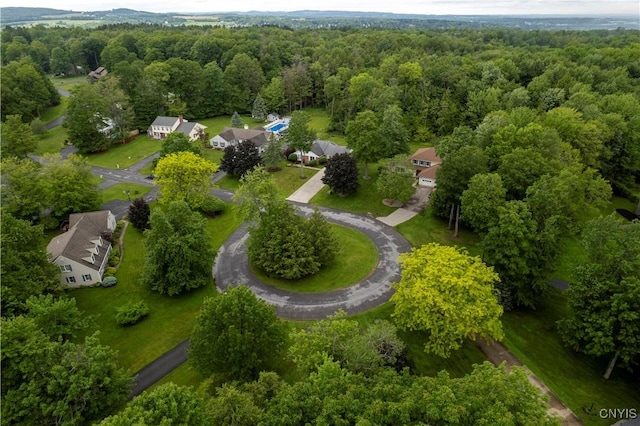 16 Silver Birch Ct, New Hartford, NY 13413 - drone / aerial view of a heavily wooded area