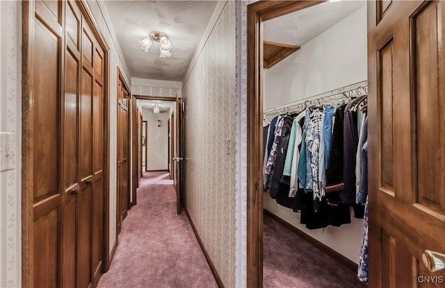 16 Silver Birch Ct, New Hartford, NY 13413 - hall with carpet flooring and wallpapered walls