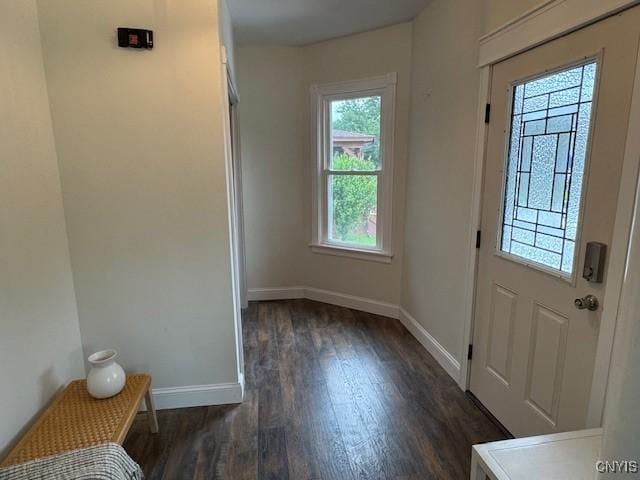 338 Leonard St, Oneida-Inside, NY 13421 - entrance foyer with healthy amount of natural light and dark wood-style floors