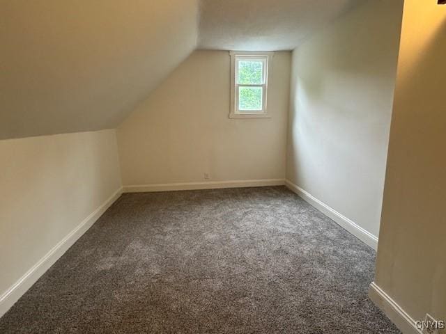 338 Leonard St, Oneida-Inside, NY 13421 - additional living space with carpet flooring and lofted ceiling