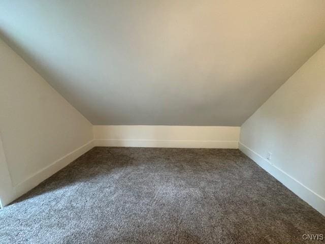 338 Leonard St, Oneida-Inside, NY 13421 - bonus room with dark colored carpet and lofted ceiling