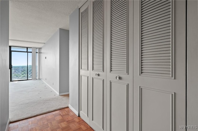 1088 Delaware Ave Unit 9I, Buffalo, NY 14209 - hall featuring a textured ceiling, carpet, and expansive windows