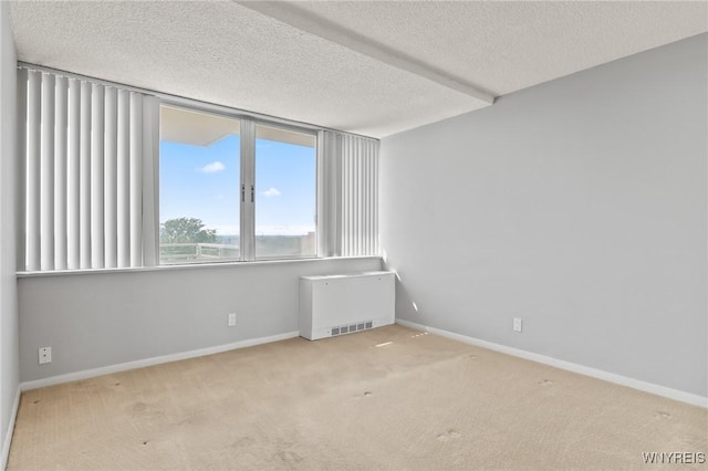 1088 Delaware Ave Unit 9I, Buffalo, NY 14209 - carpeted empty room featuring a textured ceiling