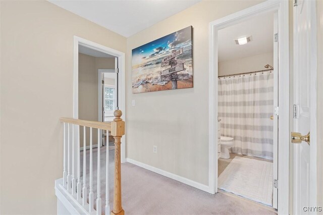 7 Oneida View Dr, Schroeppel, NY 13132 - photo 24