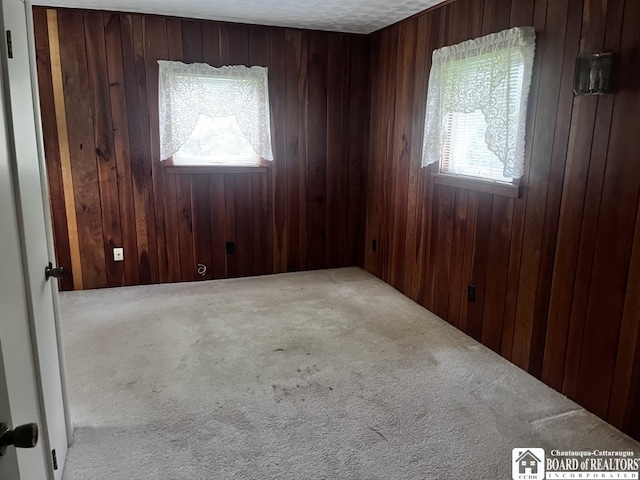 4871 Bayview Rd, Ellery, NY 14712 - spare room with carpet flooring and wooden walls