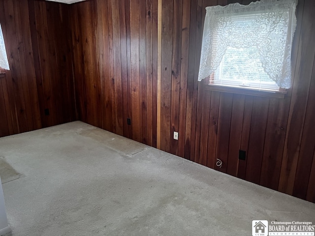 4871 Bayview Rd, Ellery, NY 14712 - unfurnished room with carpet floors and wood walls