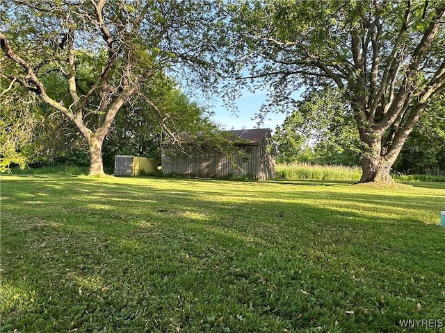 4214 Wilson Burt Rd, Wilson, NY 14172 - view of green lawn featuring an outbuilding and a pole building