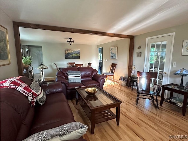 4214 Wilson Burt Rd, Wilson, NY 14172 - living area featuring plenty of natural light, light wood-style flooring, and beamed ceiling