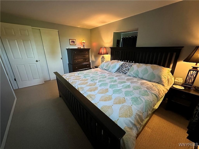 4214 Wilson Burt Rd, Wilson, NY 14172 - carpeted bedroom featuring a closet