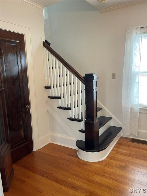 336 Hickok Ave, Syracuse, NY 13206 - stairs featuring wood finished floors, healthy amount of natural light, and crown molding