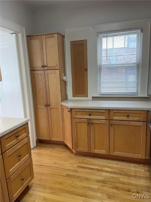 336 Hickok Ave, Syracuse, NY 13206 - kitchen featuring ornamental molding, light wood-style flooring, light countertops, and brown cabinets