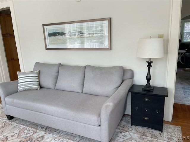 336 Hickok Ave, Syracuse, NY 13206 - living room featuring wood finished floors and arched walkways