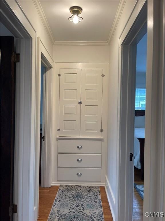 336 Hickok Ave, Syracuse, NY 13206 - hall featuring dark wood-style floors and ornamental molding