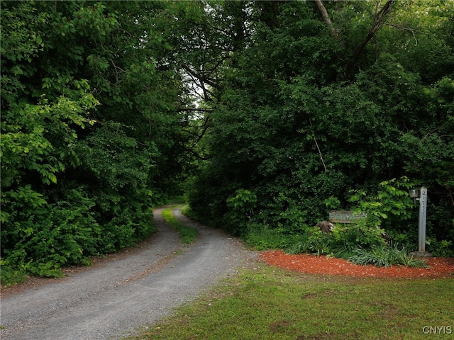 21751 Hewitt Dr, Champion, NY 13619 - view of dirt / gravel road