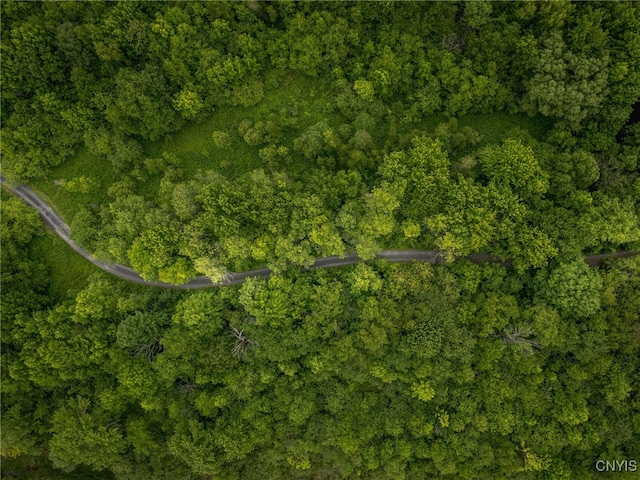 21751 Hewitt Dr, Champion, NY 13619 - aerial view of property and surrounding area